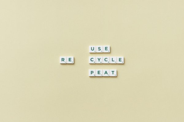 Les meilleures solutions pour le traitement des punaises de lit à Aulnay-sous-Bois