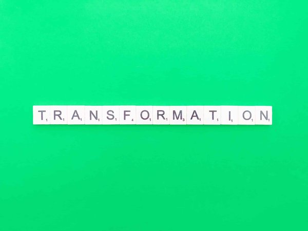 Comment transformer un appartement en un paradis vert : Les secrets de l'aménagement paysager à l'intérieur de votre domicile