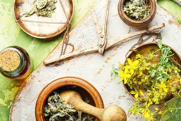 Découvrez les plantes qui peuvent soulager une douleur  !