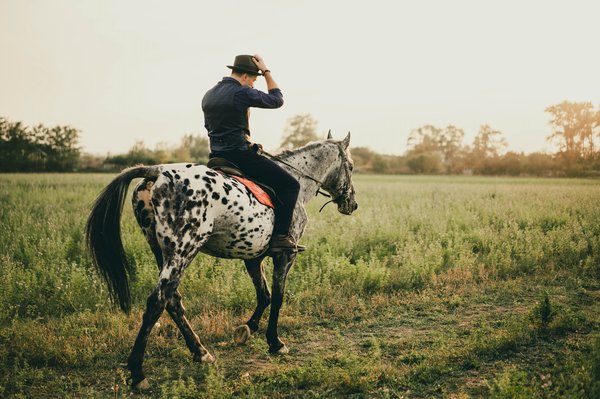 Equicoaching: le management pour un environnement de travail sain