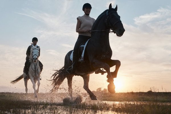 Pantalon d'équitation pour femme : quelle marque privilégier ?