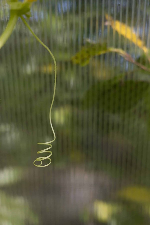 Comment les bibliothèques peuvent-elles adapter leur offre pour les apprenants adultes ?