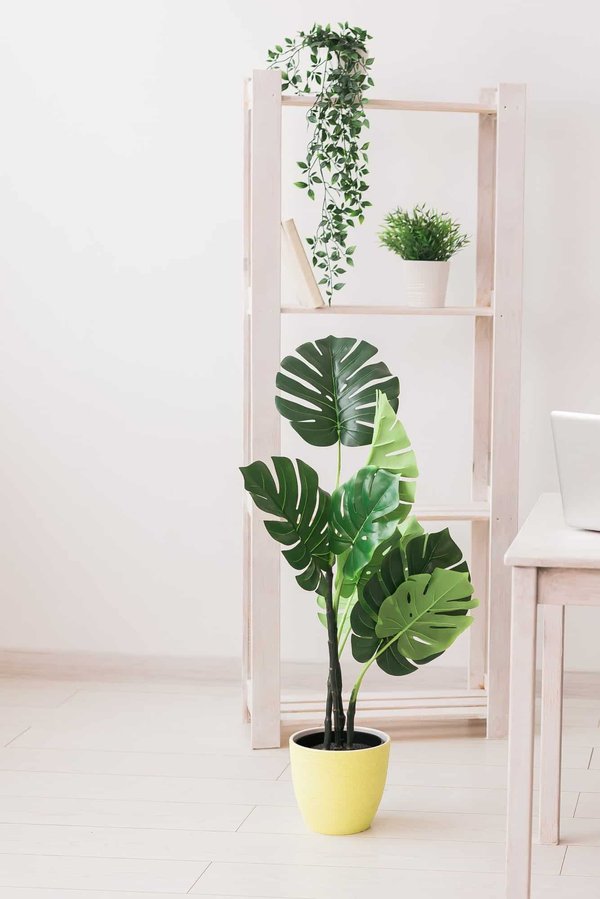 Verdure durable: choisissez une fausse plante esthétique